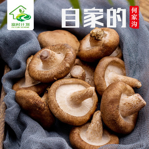 漢中 自家的 香菇干貨300g<br/>  陜南特產肉嫩口感好營養豐富<br/>